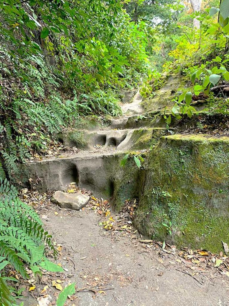 鎌倉 化粧坂切通