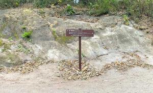 鎌倉 源氏山公園