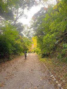 鎌倉 源氏山公園