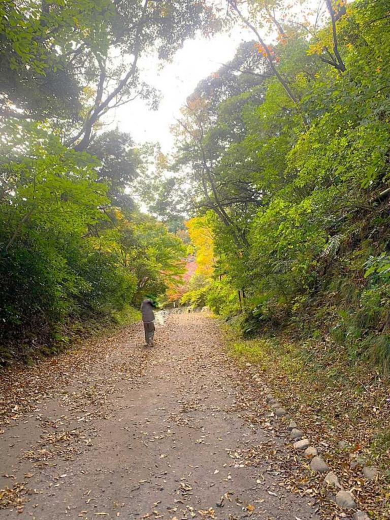 鎌倉 源氏山公園