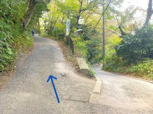 化粧坂切通(源氏山)~大仏切通し(高徳院・鎌倉大仏)間のハイキングコース(源氏山近くの分かれ道:登る方がハイキングコース(下る方が、化粧坂切通しの延長で鎌倉を出る道?))