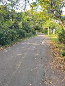 化粧坂切通(源氏山)~大仏切通し(高徳院・鎌倉大仏)間のハイキングコース(尾根道である事を実感できます!)