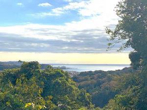 化粧坂切通(源氏山)~大仏切通し(高徳院・鎌倉大仏)間のハイキングコース(途中海も見えます!)
