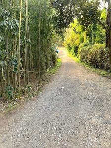 化粧坂切通(源氏山)~大仏切通し(高徳院・鎌倉大仏)間のハイキングコース(尾根道である事を実感できます!)