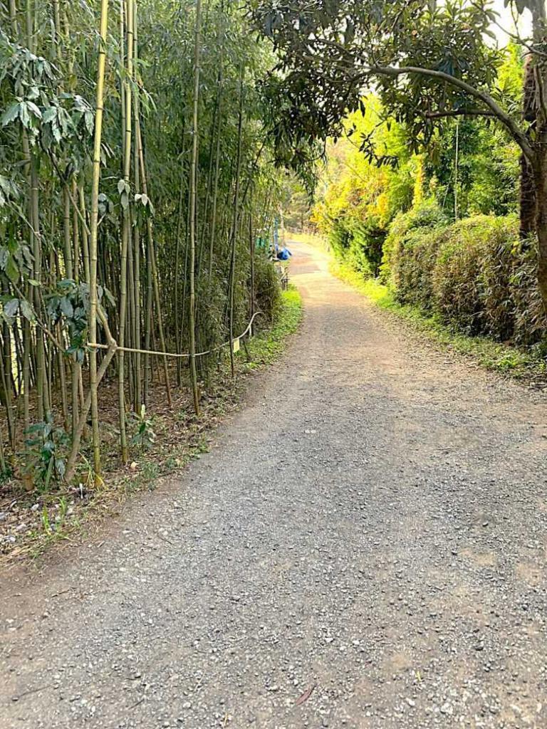 化粧坂切通(源氏山)～大仏切通し(高徳院・鎌倉大仏)間のハイキングコース(尾根道である事を実感できます！)
