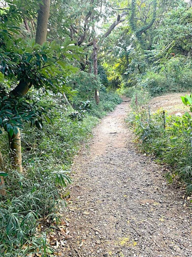 化粧坂切通(源氏山)～大仏切通し(高徳院・鎌倉大仏)間のハイキングコース(尾根道である事を実感できます！)