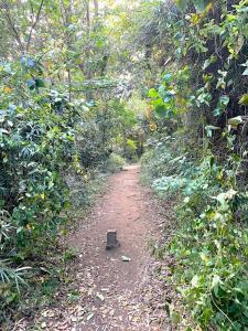 化粧坂切通(源氏山)~大仏切通し(高徳院・鎌倉大仏)間のハイキングコース(尾根道である事を実感できます!)
