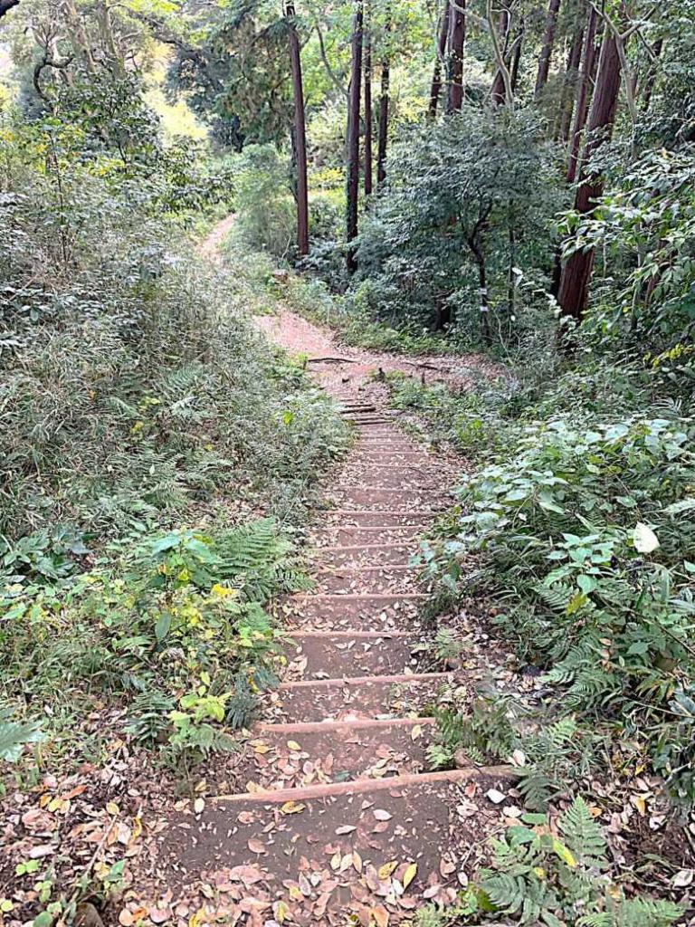 化粧坂切通(源氏山)～大仏切通し(高徳院・鎌倉大仏)間のハイキングコース(尾根道である事を実感できます！)