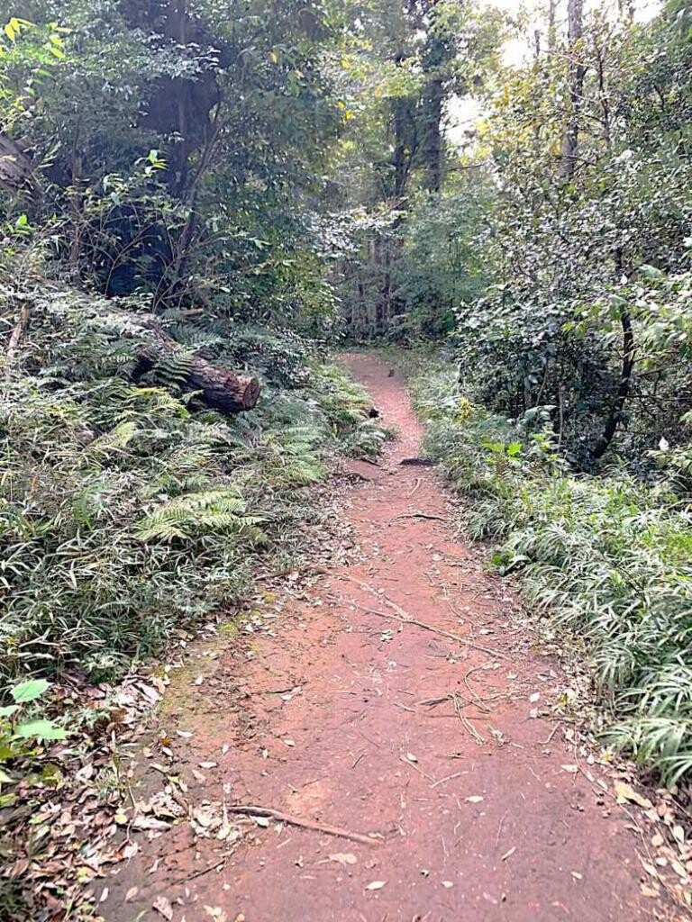 化粧坂切通(源氏山)～大仏切通し(高徳院・鎌倉大仏)間のハイキングコース(尾根道である事を実感できます！)