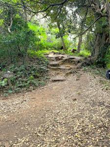 化粧坂切通(源氏山)~大仏切通し(高徳院・鎌倉大仏)間のハイキングコース(尾根道である事を実感できます!)