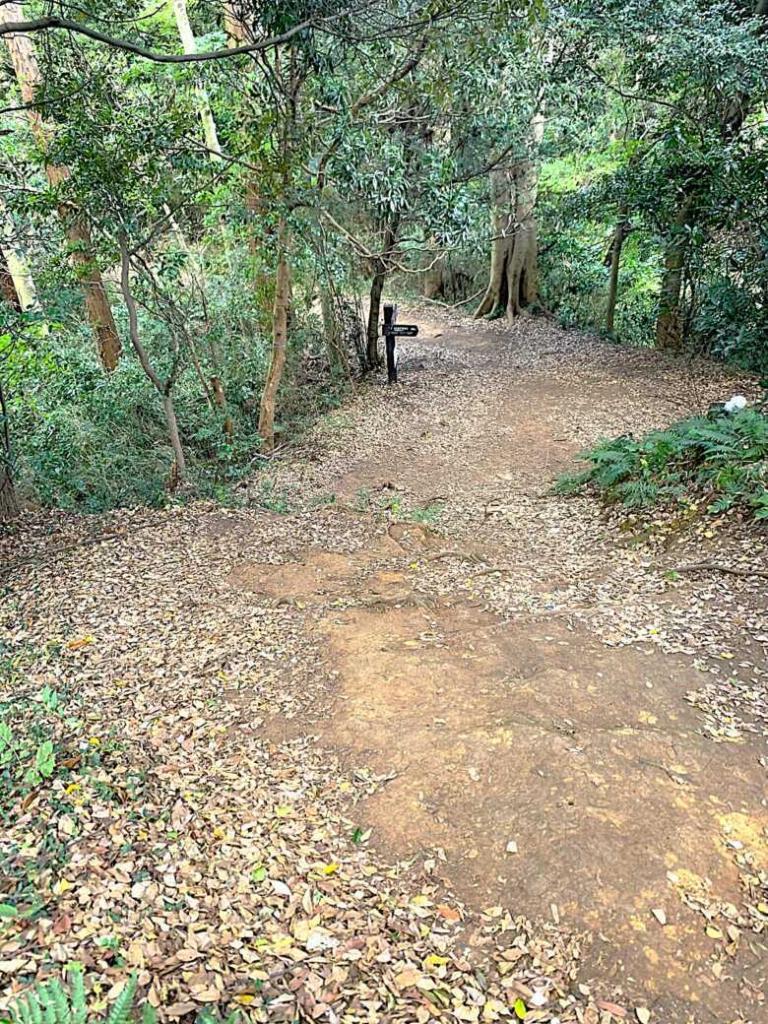 化粧坂切通(源氏山)～大仏切通し(高徳院・鎌倉大仏)間のハイキングコース(尾根道である事を実感できます！)
