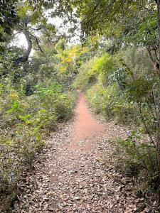 化粧坂切通(源氏山)~大仏切通し(高徳院・鎌倉大仏)間のハイキングコース(尾根道である事を実感できます!)