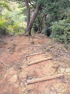 化粧坂切通(源氏山)~大仏切通し(高徳院・鎌倉大仏)間のハイキングコース(尾根道である事を実感できます!)