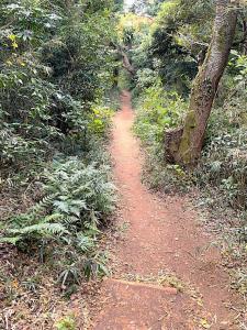 化粧坂切通(源氏山)~大仏切通し(高徳院・鎌倉大仏)間のハイキングコース(尾根道である事を実感できます!)