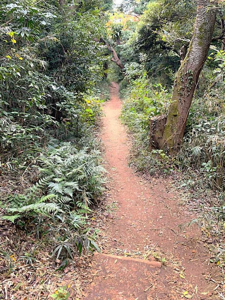 化粧坂切通(源氏山)～大仏切通し(高徳院・鎌倉大仏)間のハイキングコース(尾根道である事を実感できます！)