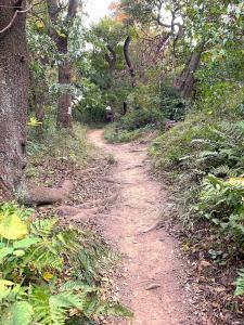 化粧坂切通(源氏山)~大仏切通し(高徳院・鎌倉大仏)間のハイキングコース(尾根道である事を実感できます!)