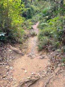 化粧坂切通(源氏山)~大仏切通し(高徳院・鎌倉大仏)間のハイキングコース(尾根道である事を実感できます!)