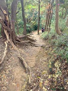 化粧坂切通(源氏山)~大仏切通し(高徳院・鎌倉大仏)間のハイキングコース(尾根道である事を実感できます!)