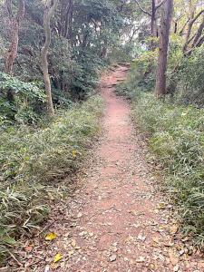 化粧坂切通(源氏山)~大仏切通し(高徳院・鎌倉大仏)間のハイキングコース(尾根道である事を実感できます!)