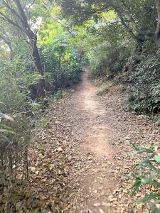 化粧坂切通(源氏山)~大仏切通し(高徳院・鎌倉大仏)間のハイキングコース(尾根道である事を実感できます!)