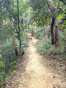 化粧坂切通(源氏山)~大仏切通し(高徳院・鎌倉大仏)間のハイキングコース(尾根道である事を実感できます!)