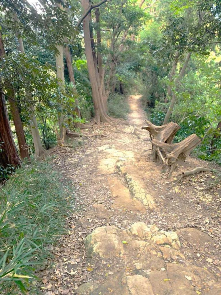 化粧坂切通(源氏山)～大仏切通し(高徳院・鎌倉大仏)間のハイキングコース(尾根道である事を実感できます！)
