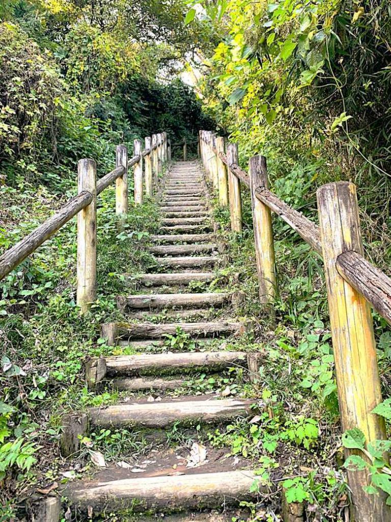 化粧坂切通(源氏山)～大仏切通し(高徳院・鎌倉大仏)間のハイキングコース(階段登れば大仏切通方面)