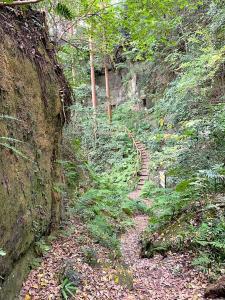 鎌倉 大仏切通(火の見下やぐら付近)
