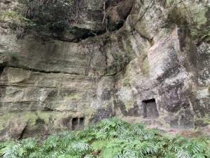 鎌倉 大仏切通(火の見下やぐら付近)