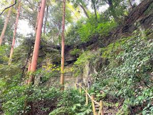 鎌倉 大仏切通(火の見下やぐら付近)