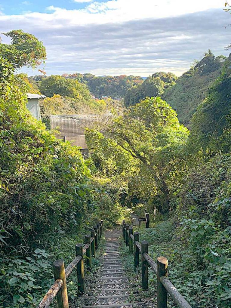 化粧坂切通(源氏山)～大仏切通し(高徳院・鎌倉大仏)間のハイキングコース(分岐付近：階段下れば、高徳院方面)