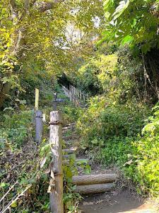 化粧坂切通(源氏山)~大仏切通し(高徳院・鎌倉大仏)間のハイキングコース(分岐付近)