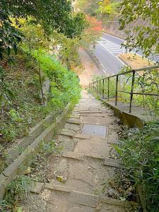 化粧坂切通(源氏山)~大仏切通し(高徳院・鎌倉大仏)間のハイキングコース(分岐付近:下りきると高徳院はすぐです)