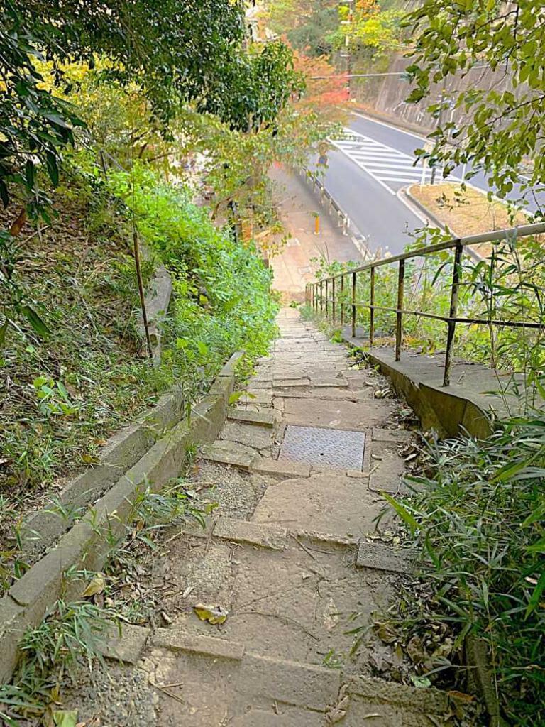 化粧坂切通(源氏山)～大仏切通し(高徳院・鎌倉大仏)間のハイキングコース(分岐付近：下りきると高徳院はすぐです)