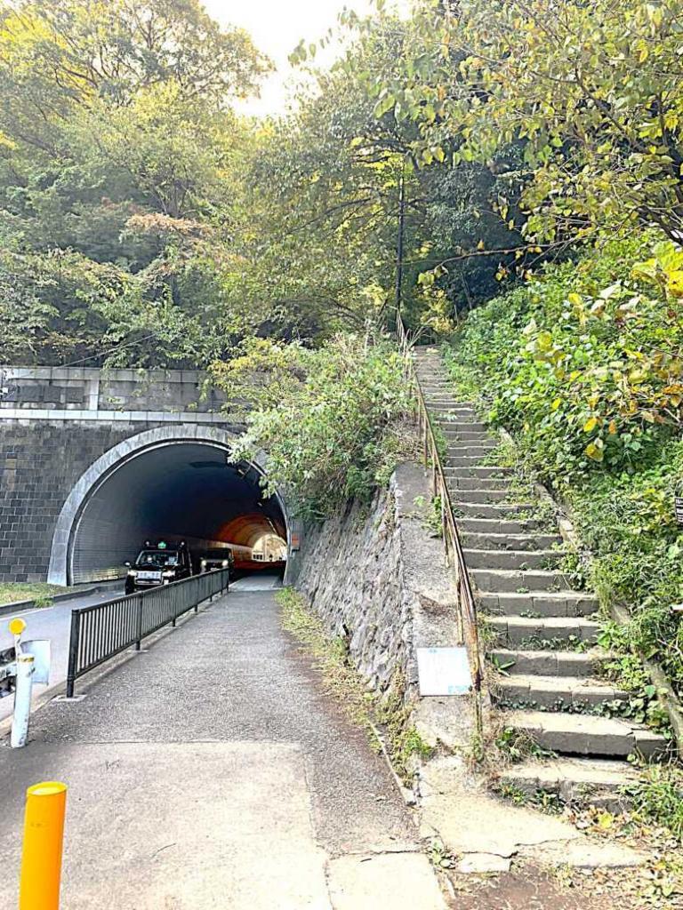 化粧坂切通(源氏山)～大仏切通し(高徳院・鎌倉大仏)間のハイキングコース(分岐付近：下りきると舗装された道に出ます)