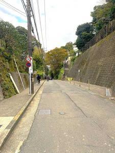 鎌倉 極楽寺切通