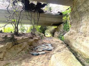 鎌倉 朝夷奈切通