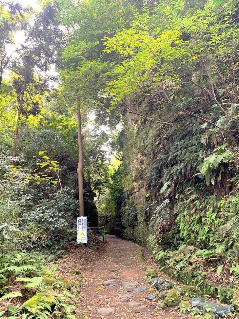 鎌倉 朝夷奈切通