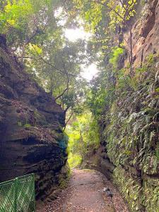 鎌倉 朝夷奈切通