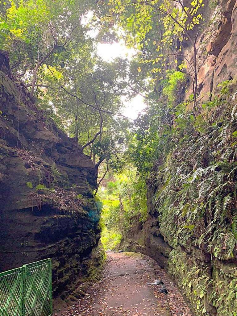 鎌倉 朝夷奈切通
