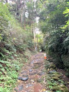 鎌倉 朝夷奈切通