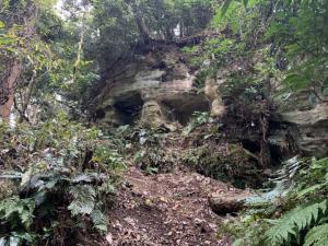 鎌倉 朝夷奈切通