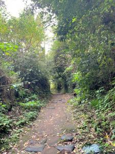 鎌倉 朝夷奈切通