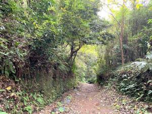 鎌倉 朝夷奈切通