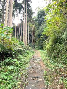 鎌倉 朝夷奈切通