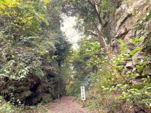 鎌倉 朝夷奈切通