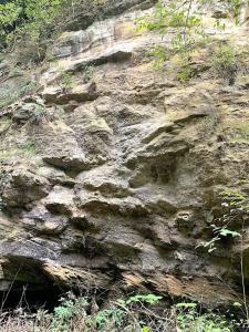 鎌倉 朝夷奈切通