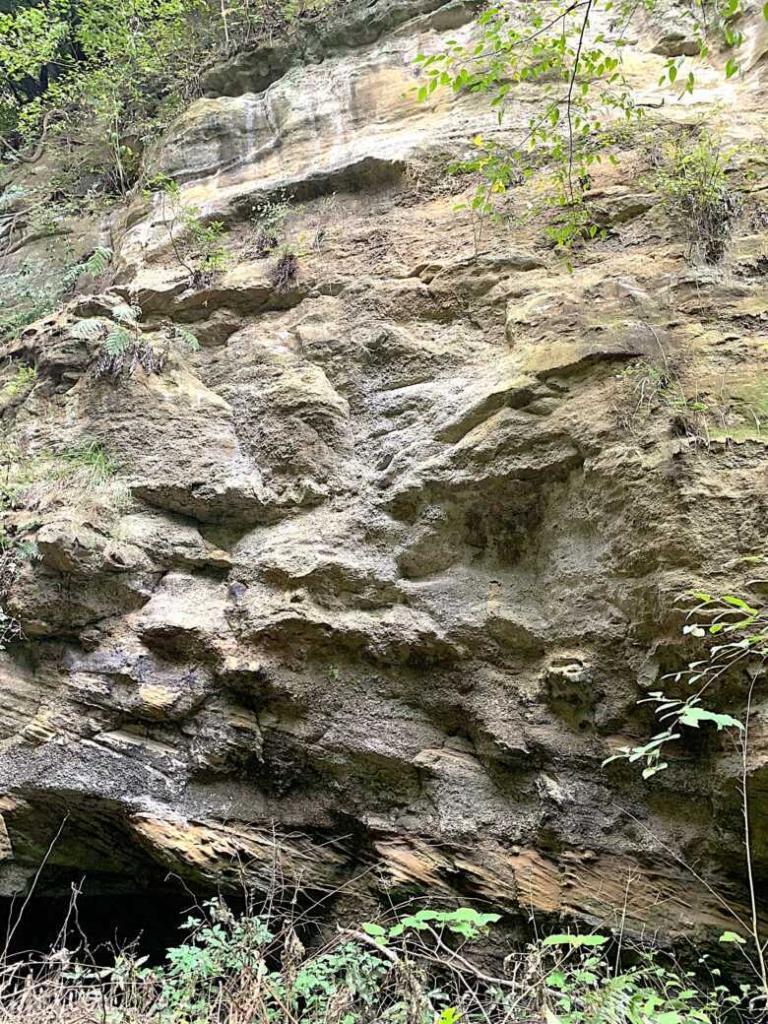 鎌倉 朝夷奈切通