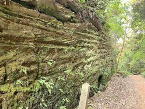 鎌倉 朝夷奈切通