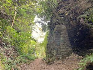鎌倉 朝夷奈切通